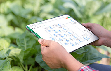 大棚智能化控制系統