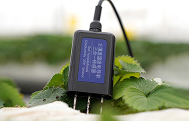 智慧農業土壤監測系統